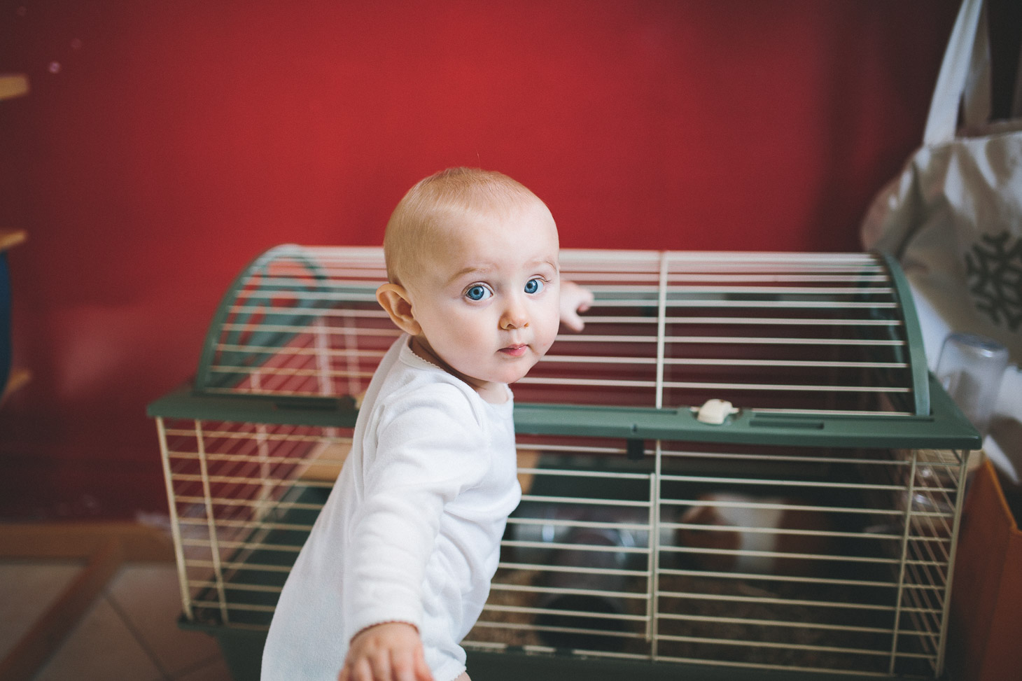 photographe famille asnières -02