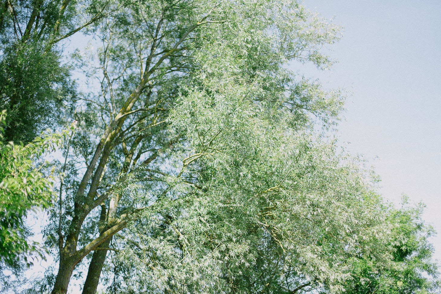 photographe-mariage-champ-de-launay-normandie-00035