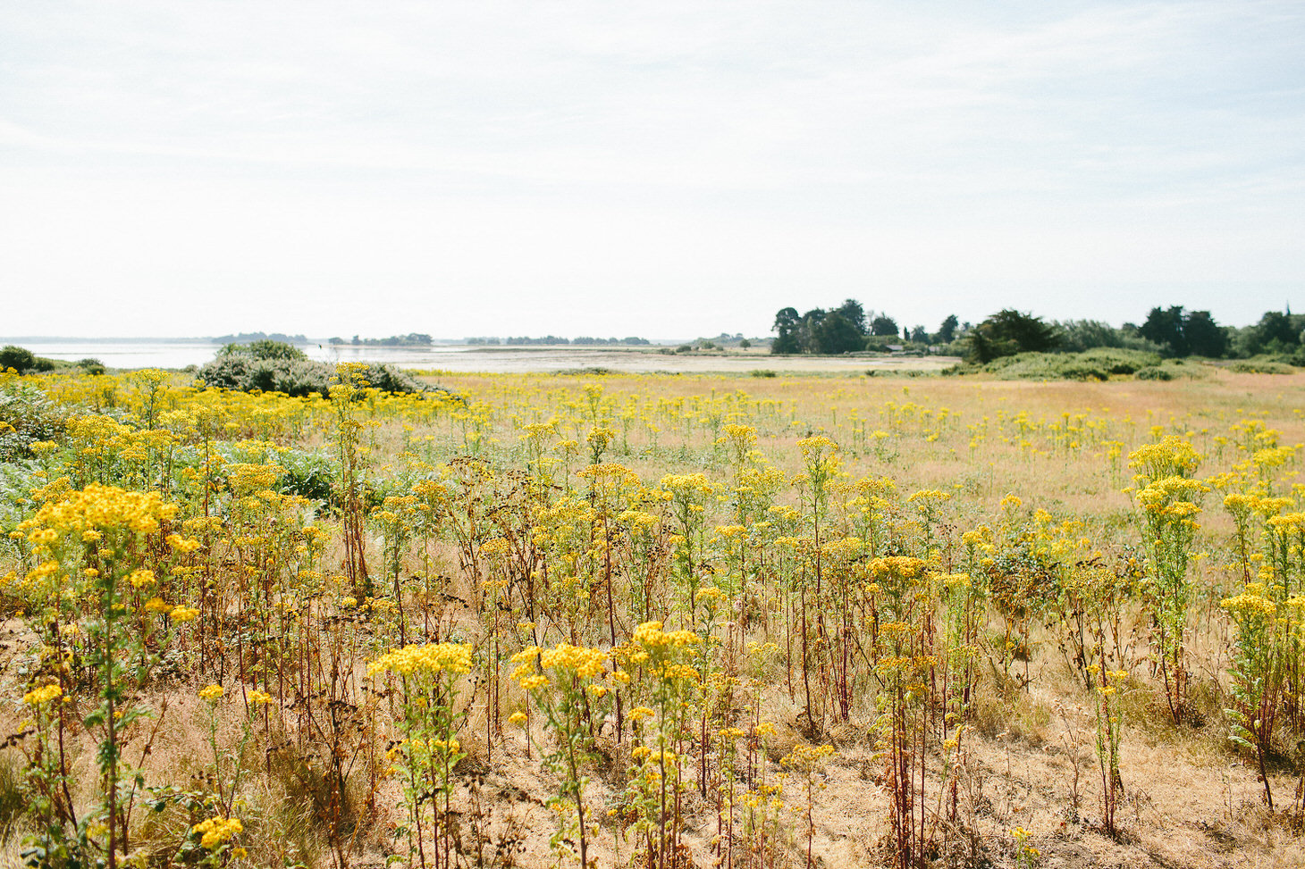 photographe-mariage-arz-morbihan-bretagne-004