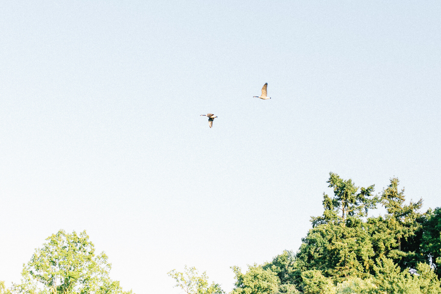 photographe-mariage-paris-montfort-l-amaury-062